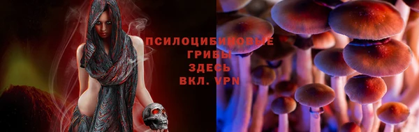 МДПВ Надым
