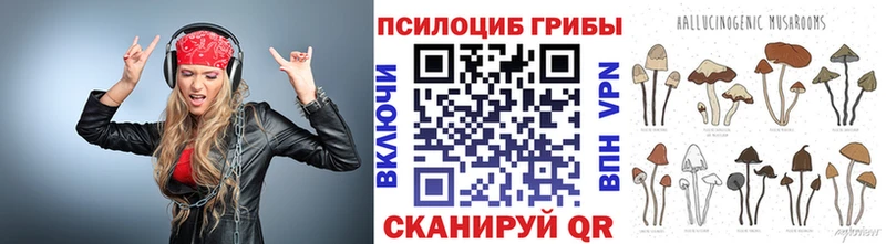 Галлюциногенные грибы мицелий хочу Грозный
