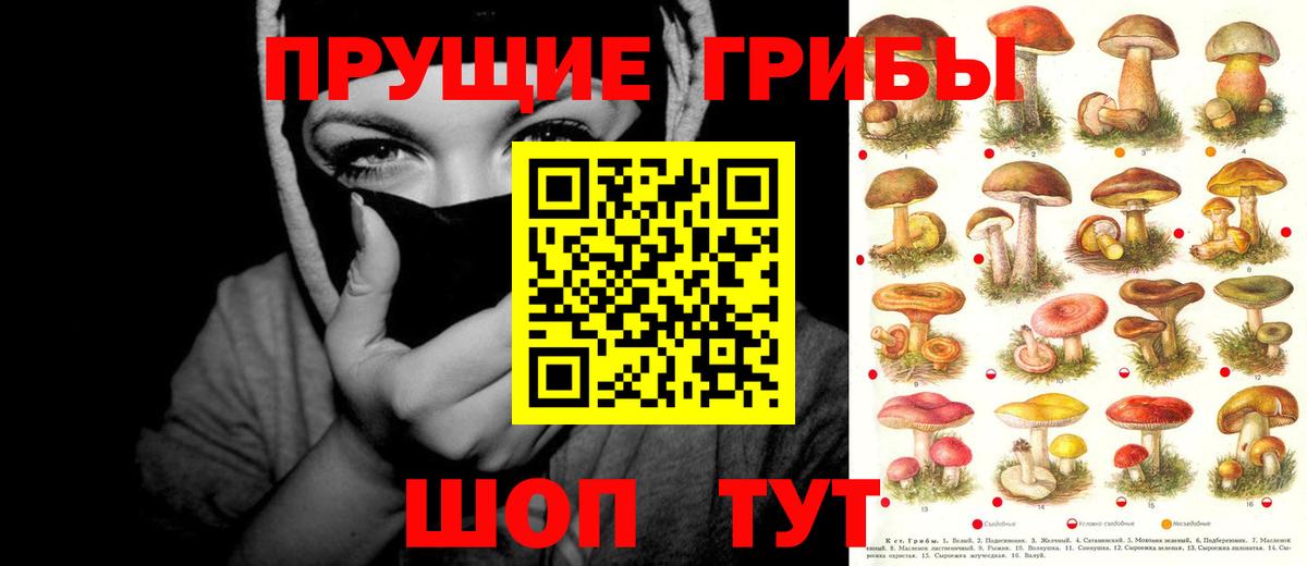 Псилоцибиновые грибы мицелий Грозный